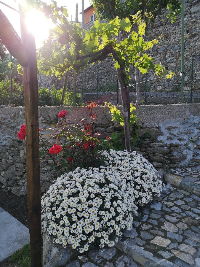 B&B Ca' du Brigidin Tovo San Giacomo Exterior foto