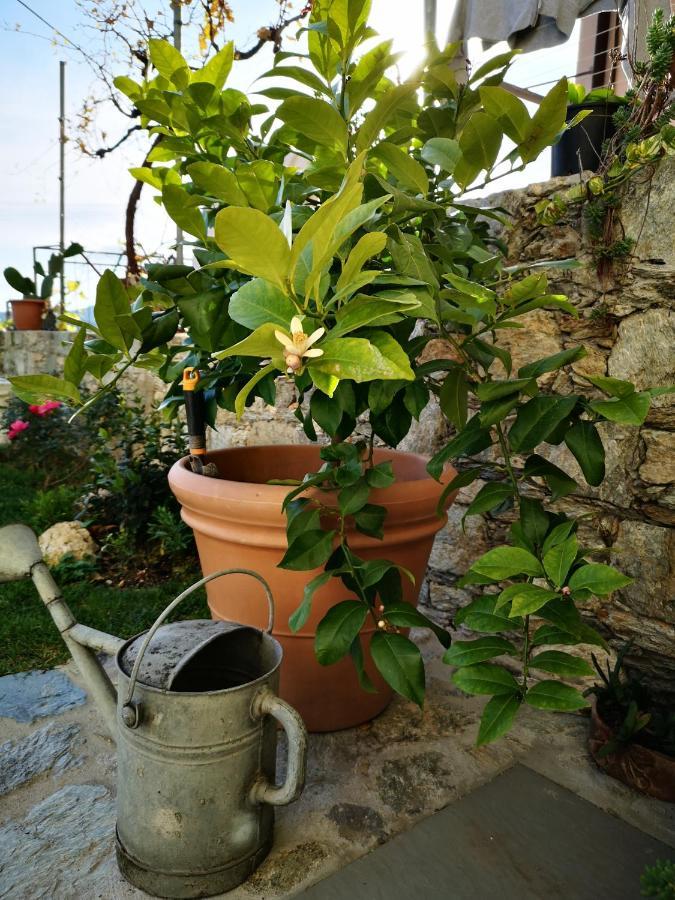 B&B Ca' du Brigidin Tovo San Giacomo Exterior foto